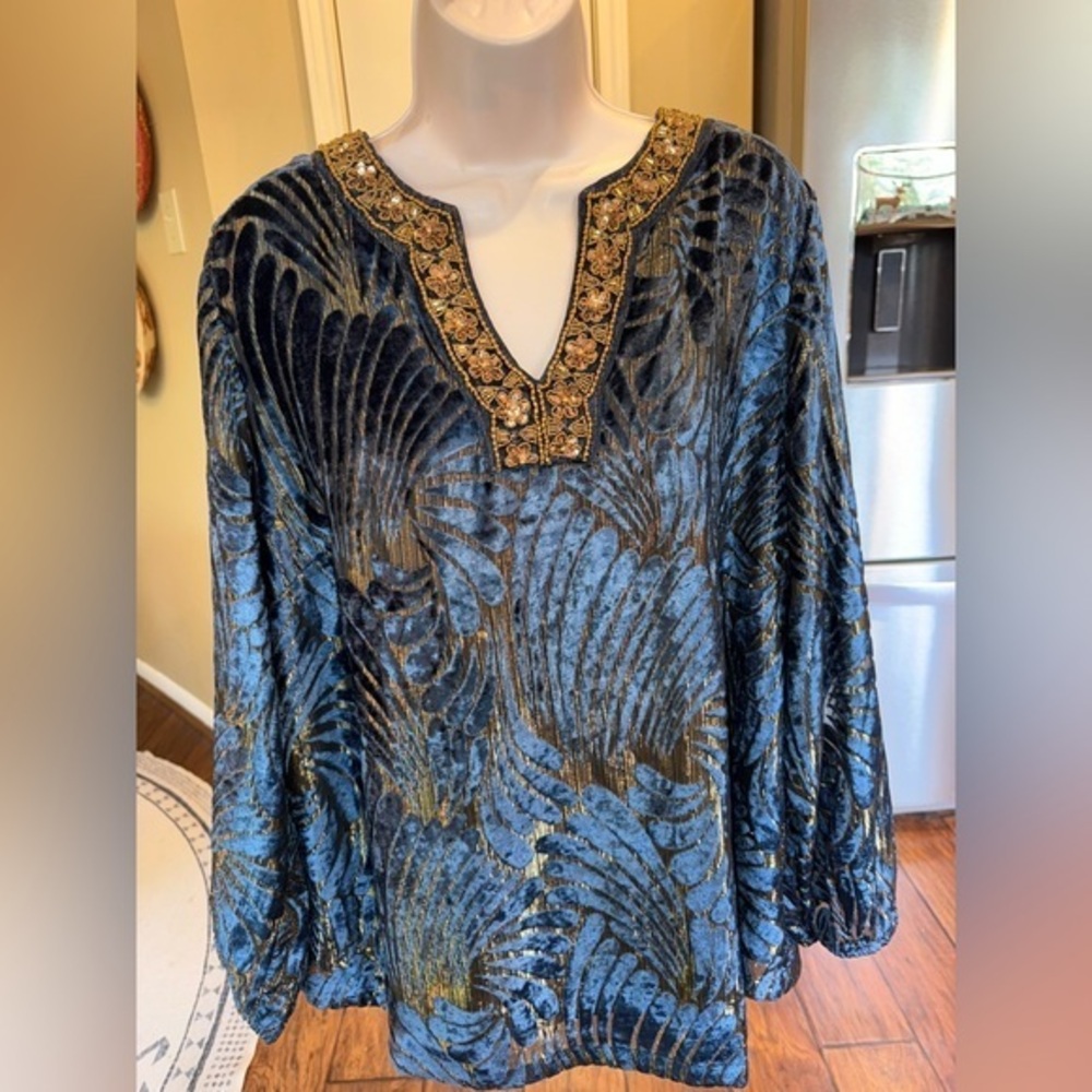 Soft Surroundings Adrienne Embroidered Velvet Tunic - Picture 1 of 11
